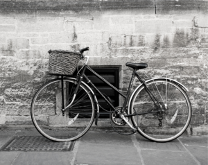 Mit Currencycloud Spark können die Kunden von Money Mover ambitioniert global agieren